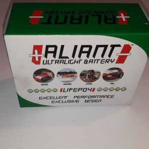 BATTERIE YLP 10