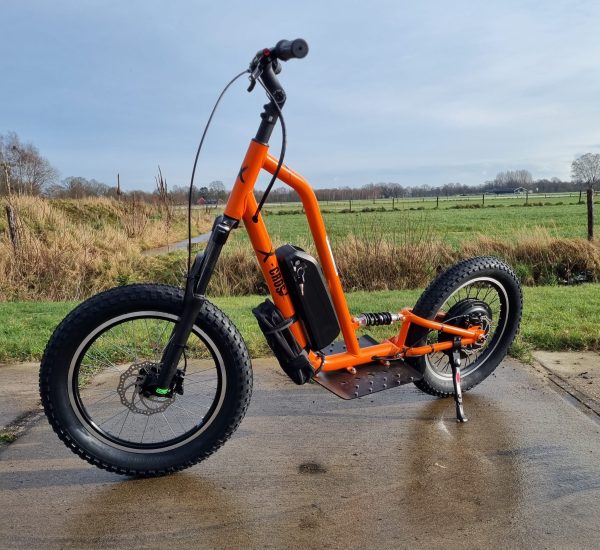 x-cross step. - Image 2